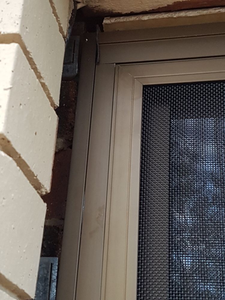 Stainless steel mesh security door fitted to a brick home