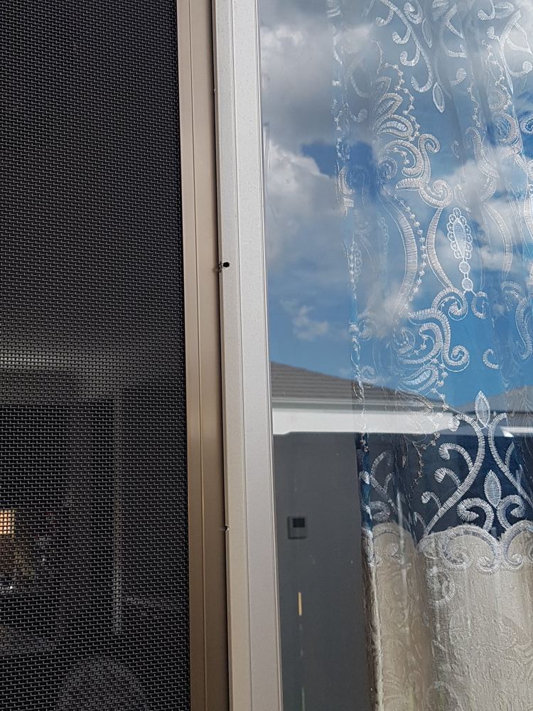 Security door with stainless mesh, installed